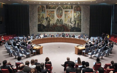 Civil society to tackle UN Security Council reform