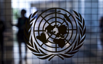 Civil society unveils detailed proposals on UNSC reform