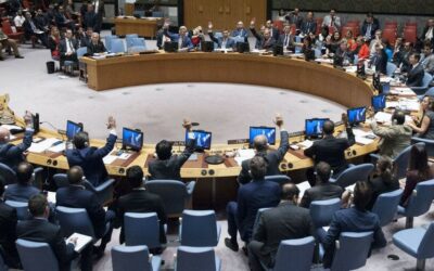 SA returns to the UN Security Council with a new leader
